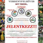 kiv_2013_plakat